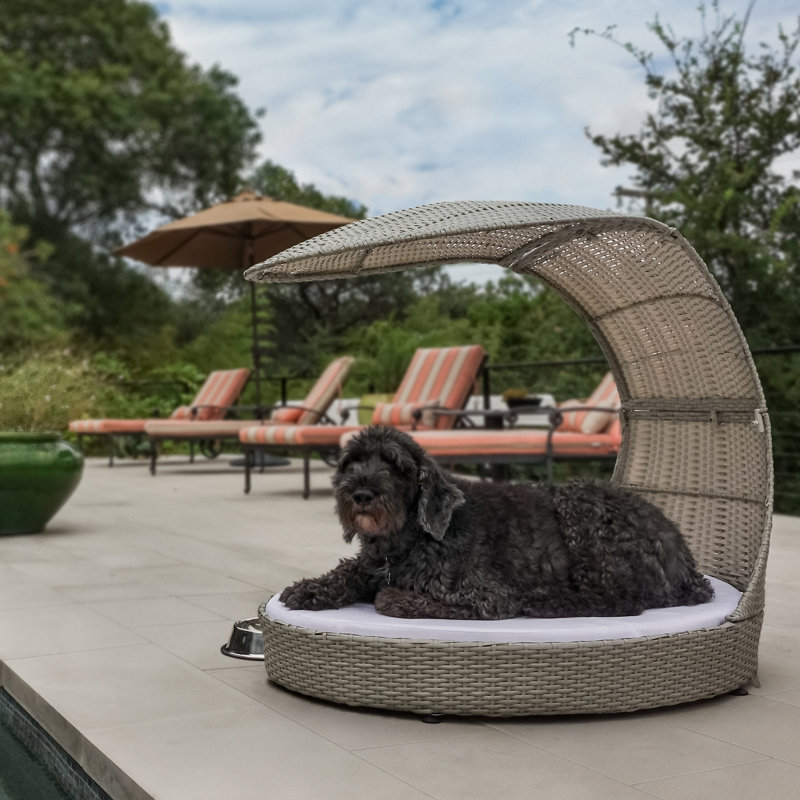 Outdoor Hooded Dog Chaise Lounge & Reviews AllModern